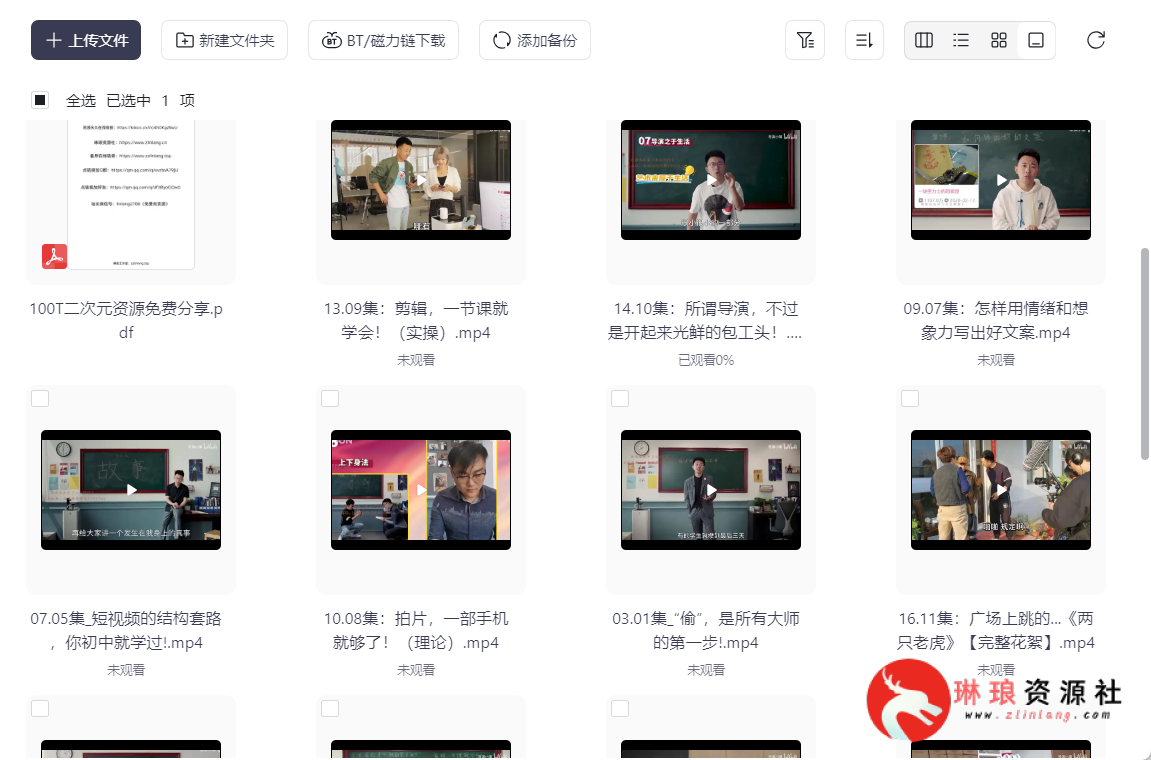 B站精选：张策的短视频创作课【19节课】【完整版】【4G】-琳琅资源社 - 免费帮找网盘资源社区