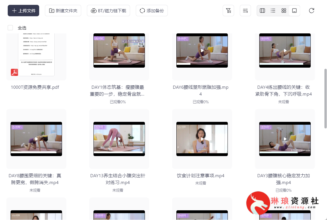 B站精选《海洋饼干：21天纤细腰腹训练课》【21节课】【完整版】【11G】-琳琅资源社 - 免费帮找网盘资源社区