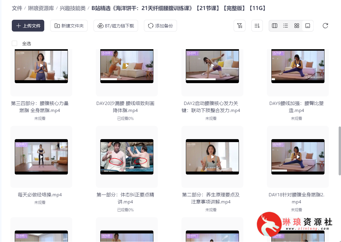 B站精选《海洋饼干：21天纤细腰腹训练课》【21节课】【完整版】【11G】-琳琅资源社 - 免费帮找网盘资源社区