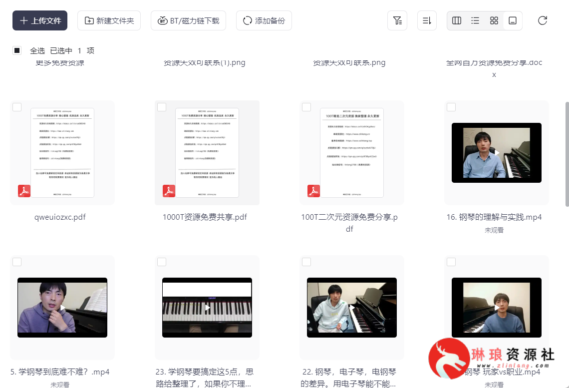 ​钢琴老师解答钢琴问题合集【22节课】【完整版】【1G】-琳琅资源社 - 免费帮找网盘资源社区