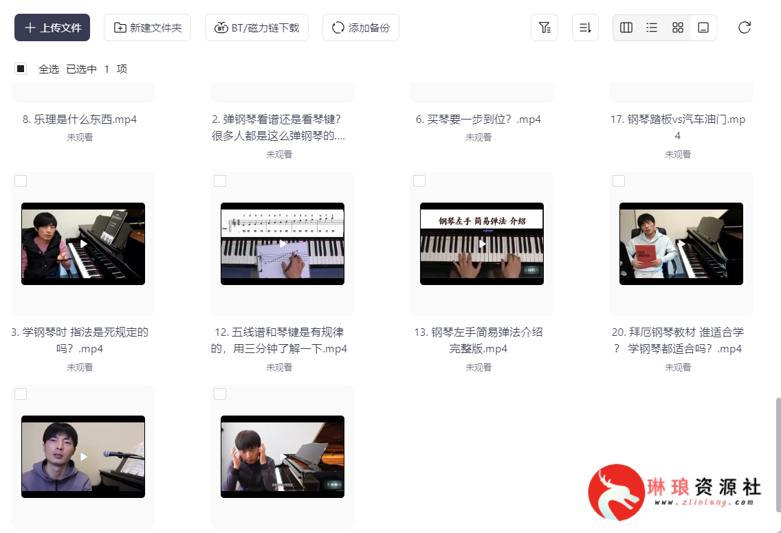 ​钢琴老师解答钢琴问题合集【22节课】【完整版】【1G】-琳琅资源社 - 免费帮找网盘资源社区