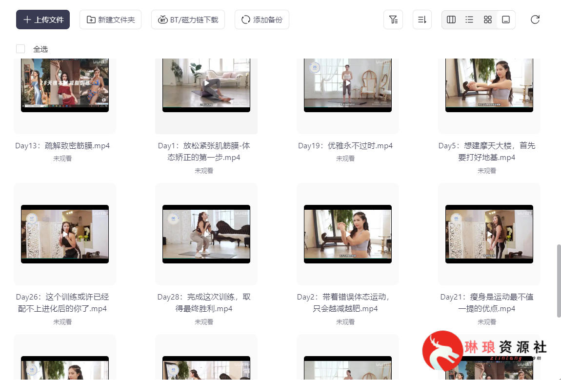 图片[3]-​欧阳春晓的私教课程，28天女性根本性减脂课【27节课】【完整版】【25G】-最新资源社区-琳琅工作室-琳琅资源社 - 免费帮找网盘资源社区