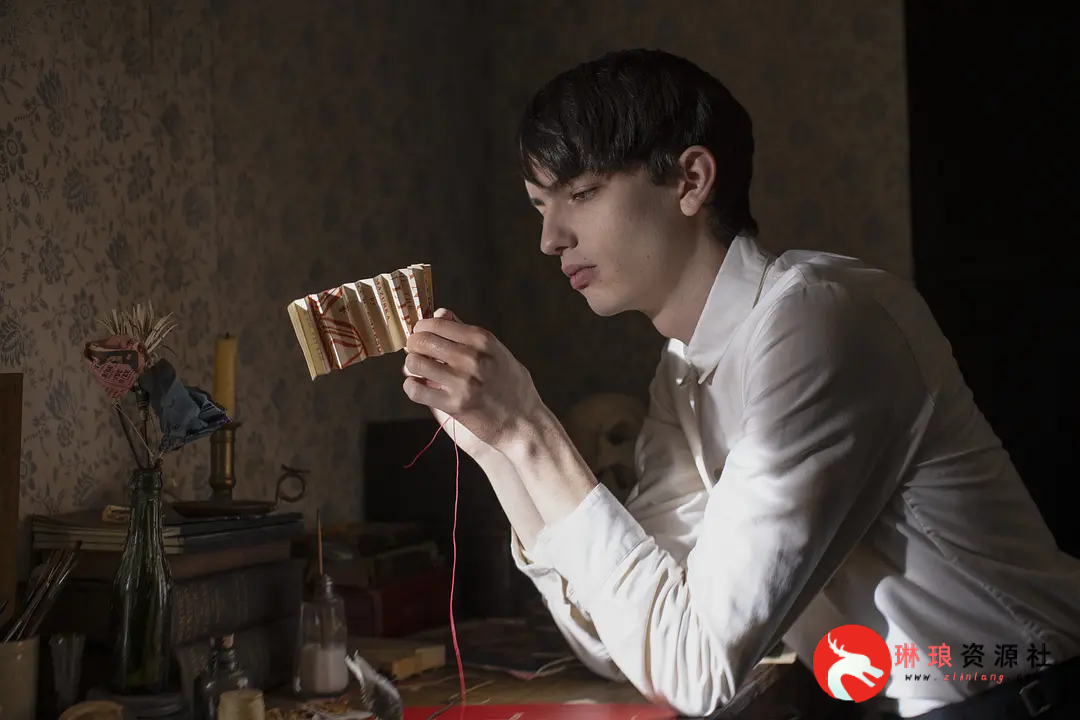 图片[2]-最佳导演：《犬之力》【简·坎皮恩】【1080P】【13G】-最新资源社区-琳琅工作室-琳琅资源社 - 免费帮找网盘资源社区